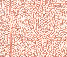 cloth & paper - persia - cp1000w-06 - orange