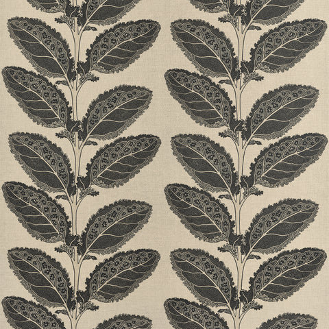 Lacinato Basalt Black Fabric - F912038 - Thibaut Fabric