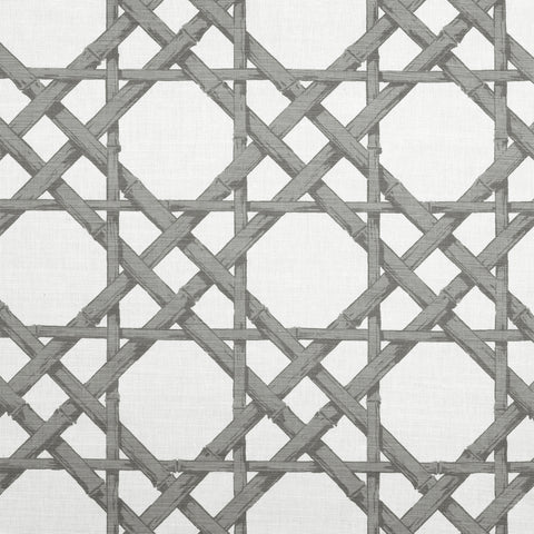 Cyrus Cane Grey Fabric - F913141 - Thibaut Fabric