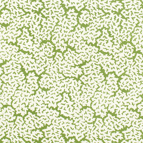 Maldives Green Fabric - F942041 - Thibaut Fabric