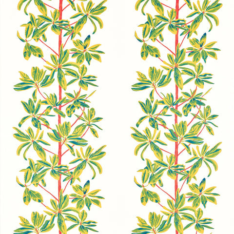 Mangrove Tree Coral Fabric - F945036 - Thibaut Fabric
