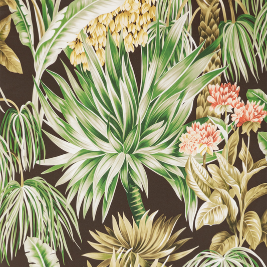 Lee Jofa - Caluya Paper - Espresso - P2020104.6374.0