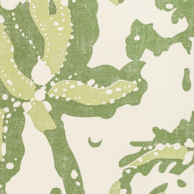brunschwig & fils - weymouth - leaf - p8022102.33.0