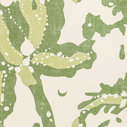 Brunschwig & Fils - Weymouth - Leaf - P8022102.33.0