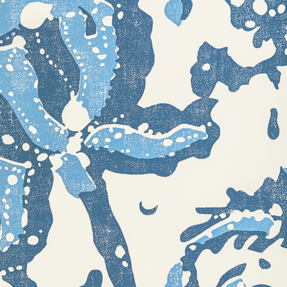Brunschwig & Fils - Weymouth - Indigo - P8022102.550.0