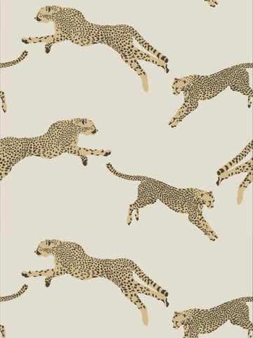 scalamandre - leaping cheetah dune wallpaper - sc 0001wp88449d