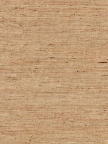 scalamandre - arrowroot weave camel wallpaper - sc 0002wp88344
