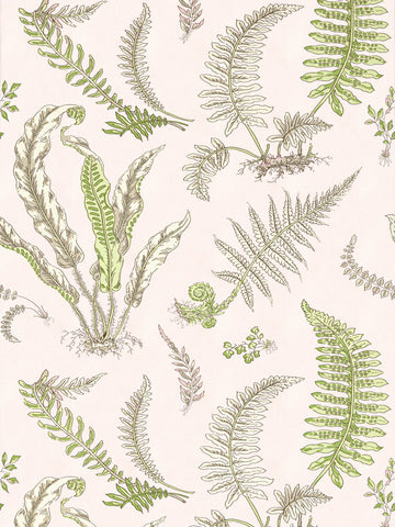 Scalamandre - Elsie De Wolfe Ballet Slipper Wallpaper - SC 0002WP88592D