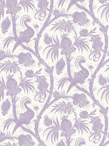 scalamandre - balinese peacock lavender wallpaper - sc 0003wp88355