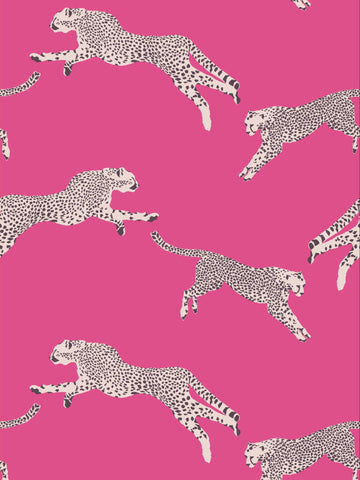 Scalamandre - Leaping Cheetah Bubblegum Wallpaper - SC 0003WP88449D