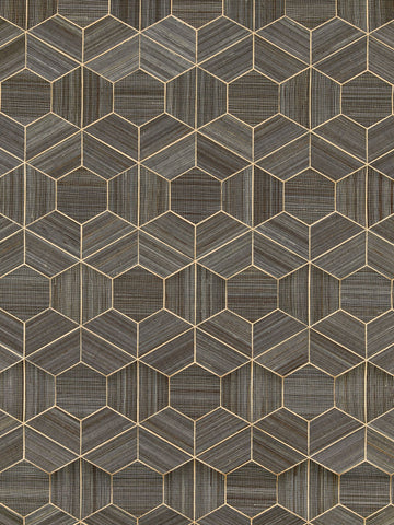 Scalamandre - Hive Abaca Graphite Wallpaper - SC 0003WP88469