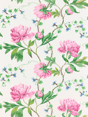 scalamandre - isadora petal wallpaper - sc 0003wp88562