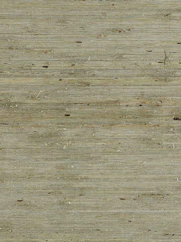 scalamandre - arrowroot weave water wallpaper - sc 0004wp88344