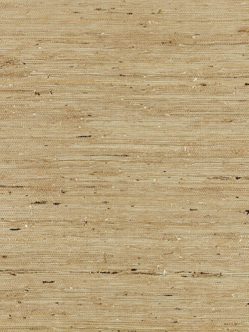 scalamandre - arrowroot weave sage wallpaper - sc 0005wp88344