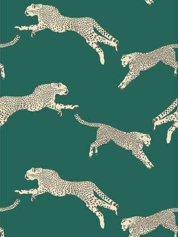Scalamandre - Leaping Cheetah Evergreen Wallpaper - SC 0005WP88449D