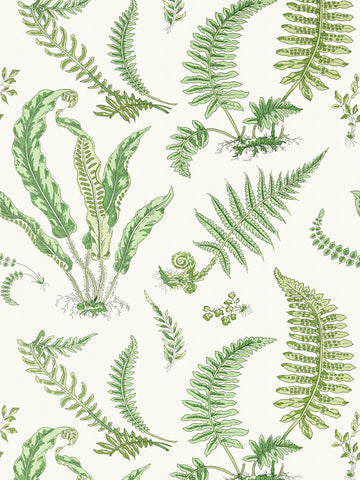 scalamandre - elsie de wolfe fern wallpaper - sc 0006wp88592d