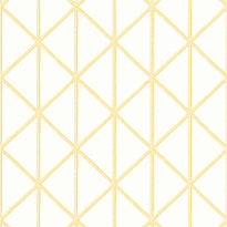 T10136 | Box Kite, Tropics Thibaut Wallpaper