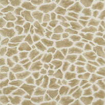 t10223 | makena, colony thibaut wallpaper