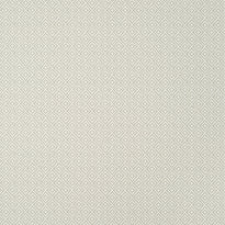 T14538 | Rimba, Texture Resource 8 - Thibaut Wallpaper