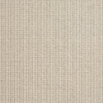 T19635 | Coastline, Tan - Thibaut Wallpaper
