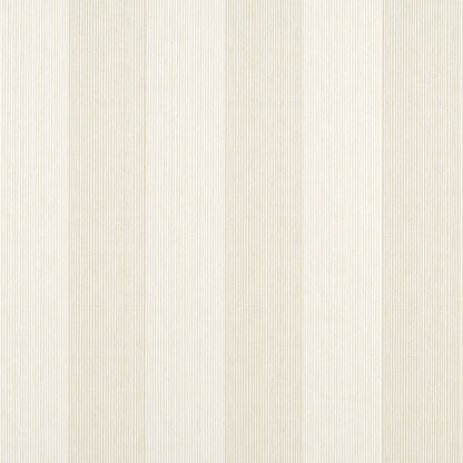 Evan Stripe, Thibaut Wallpaper from Stripes and Checks Collection