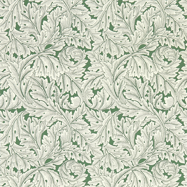 Clarke & Clarke - Acanthus - Sage wallpaper - W0175/01.CAC.0