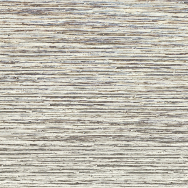 clarke & clarke - xan - dove wallpaper - w0192/02.cac.0
