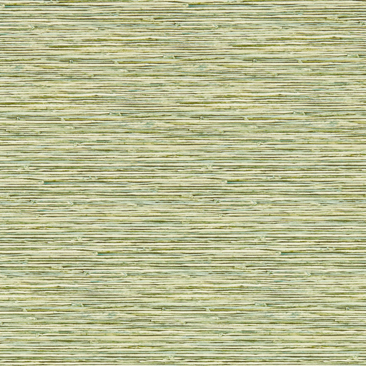 Clarke & Clarke - Xan - Palm wallpaper - W0192/04.CAC.0