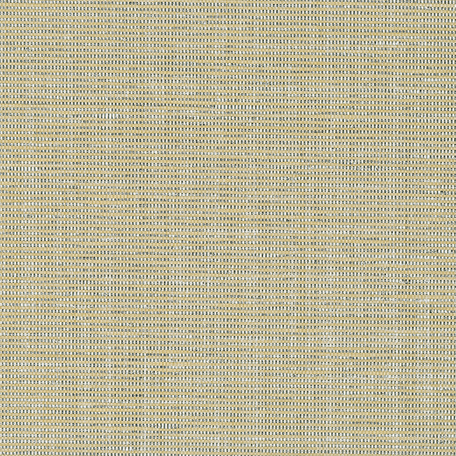 Kravet Design - Kravet Design - W3420-16