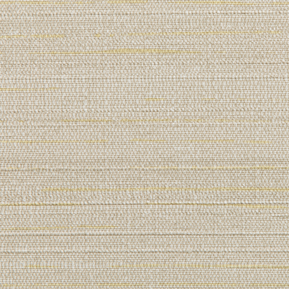 Kravet Design - Kravet Design - W3659-1116