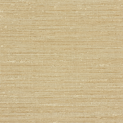 Kravet Design - Kravet Design - W3688-16