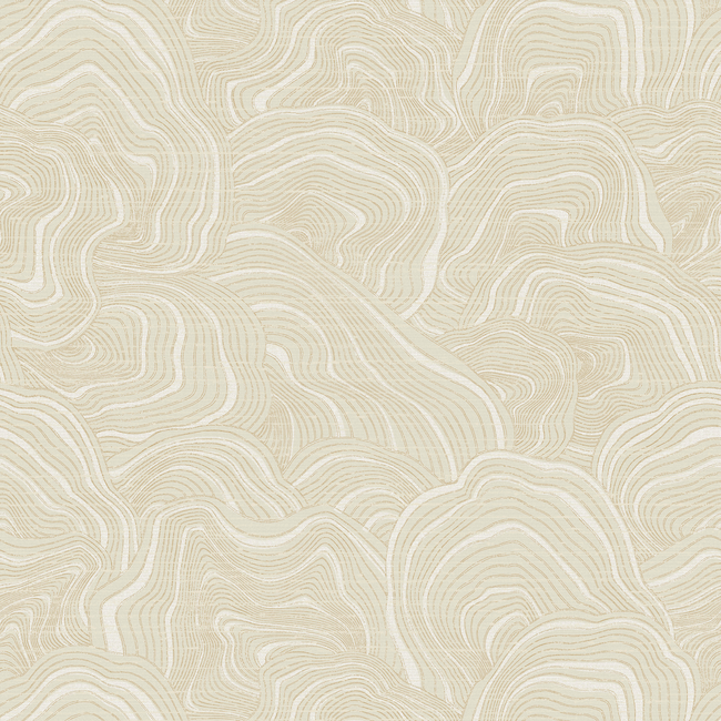 Kravet Design - Kravet Design - W3719-116