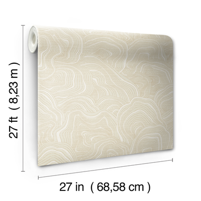 Kravet Design - Kravet Design - W3719-116