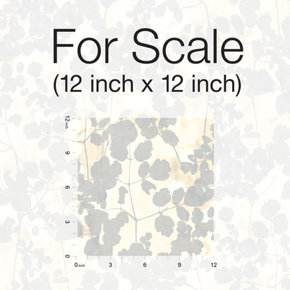 Kravet Design - Kravet Design - W3791-11