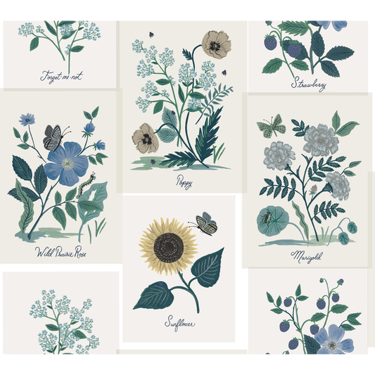 Kravet Design - Kravet Design - W3947-350