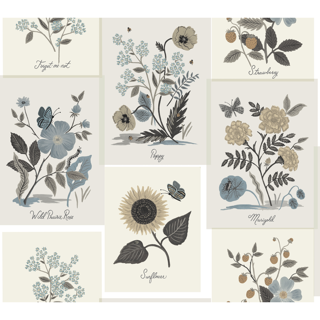 Kravet Design - Kravet Design - W3947-6106