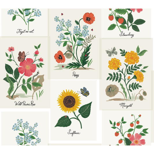 Kravet Design - Kravet Design - W3947-73