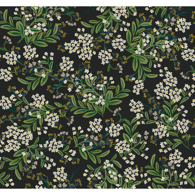 Kravet Design - Kravet Design - W3948-81