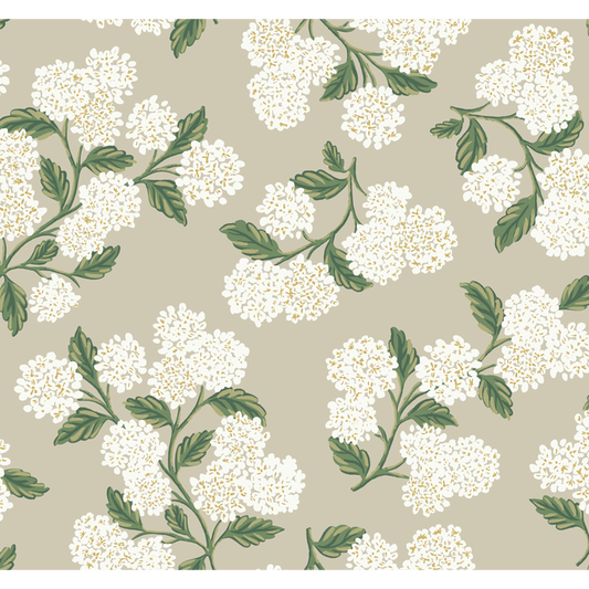 Kravet Design - Kravet Design - W3952-31