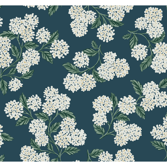 Kravet Design - Kravet Design - W3952-51