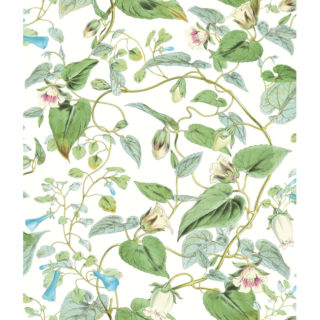 Kravet Design - Kravet Design - W4132-31