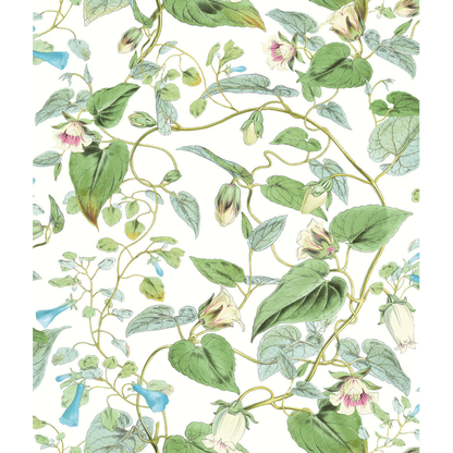 Kravet Design - Kravet Design - W4132-31