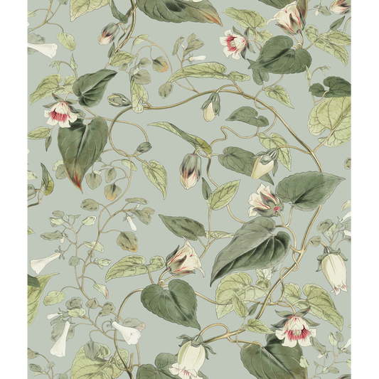 Kravet Design - Kravet Design - W4132-311