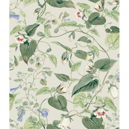 Kravet Design - Kravet Design - W4132-315