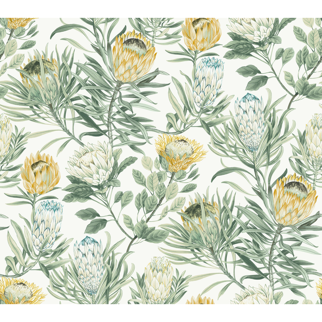 Kravet Design - Kravet Design - W4136-4