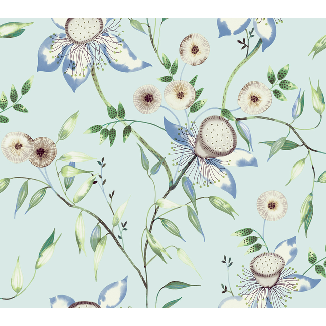 Kravet Design - Kravet Design - W4140-5