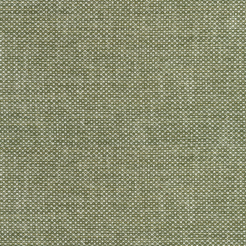 cascade ivy fabric - w75263 - thibaut fabric
