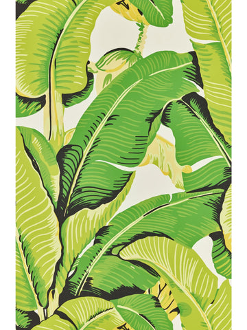 scalamandre - hinson palm mojito wallpaper - whn 000144000m