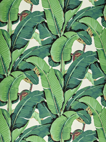 scalamandre - hinson palm wide width green wallpaper - whn 000144000