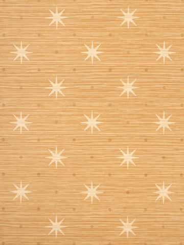 scalamandre - big trixie rattan wallpaper - whn 000144002